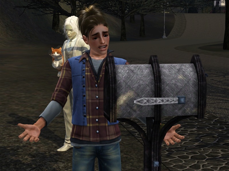 2771022.jpg