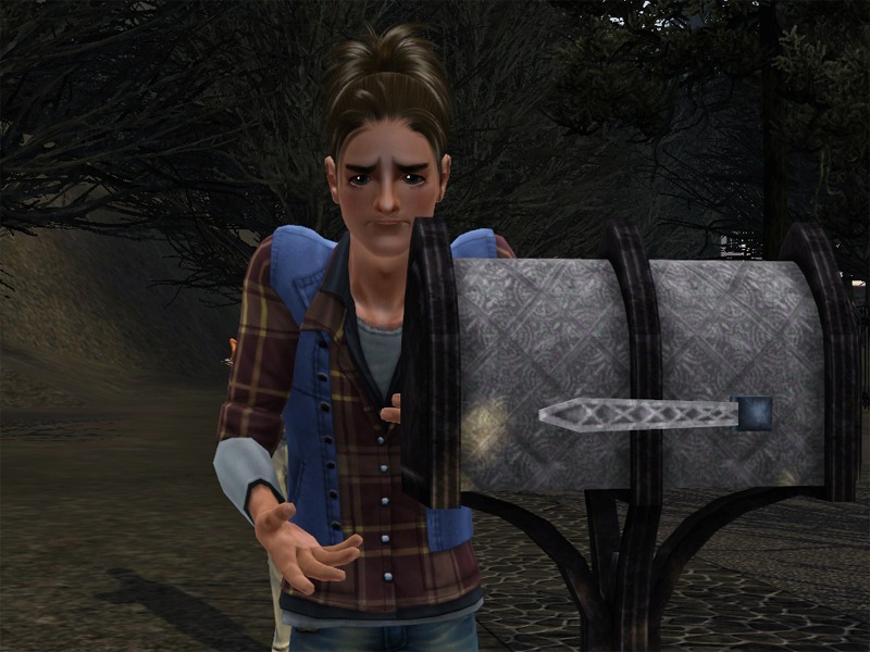 2771023.jpg
