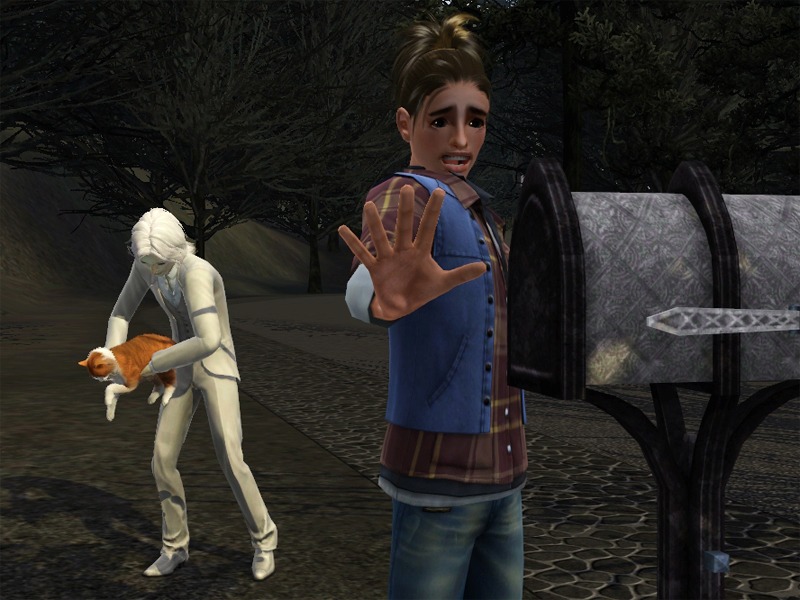 2771033.jpg