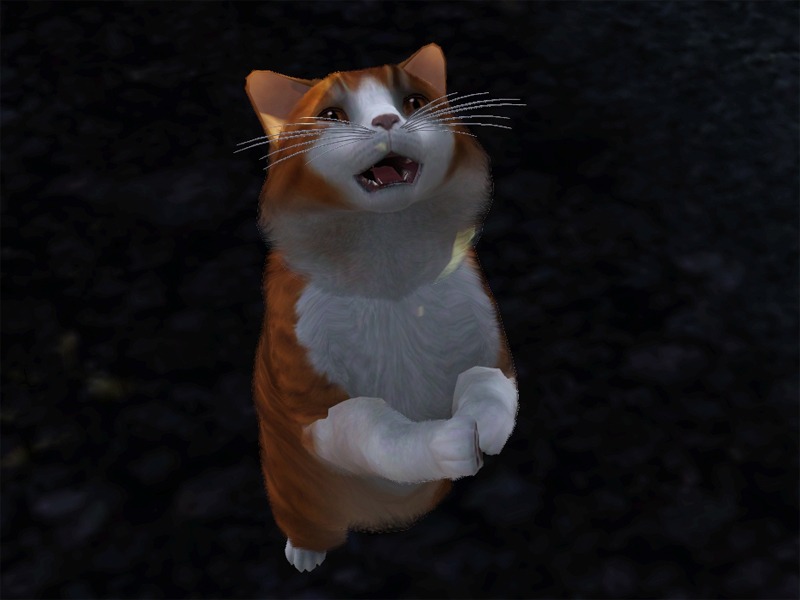 2771613.jpg