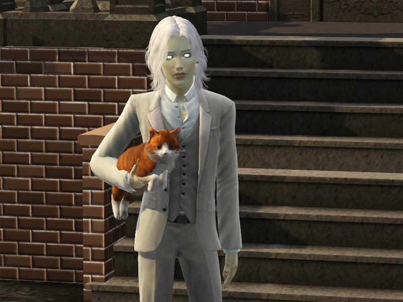 2771622.jpg