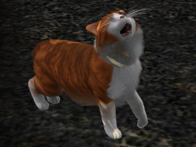 2771647.jpg