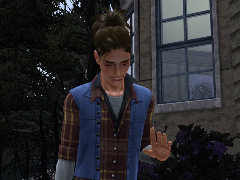 2771658.jpg