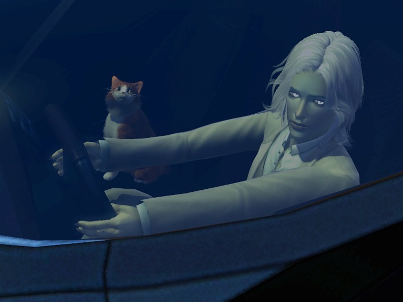2771675.jpg