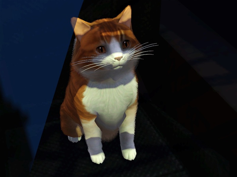 2771678.jpg