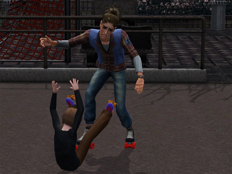 2773143.jpg