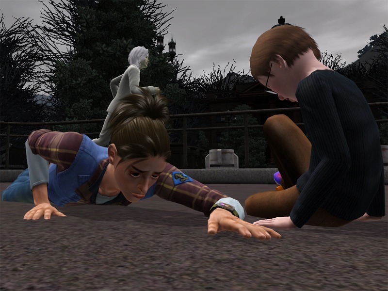 2773146.jpg