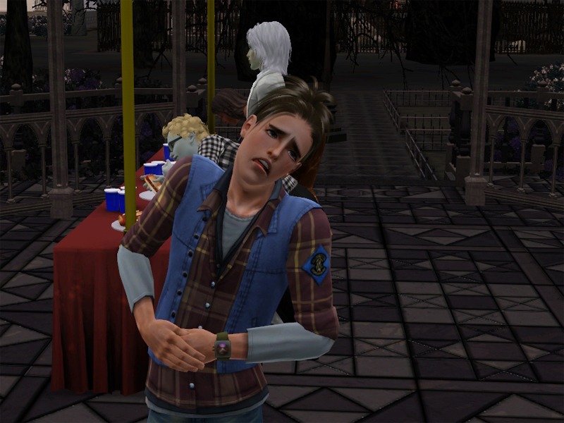 2773159.jpg