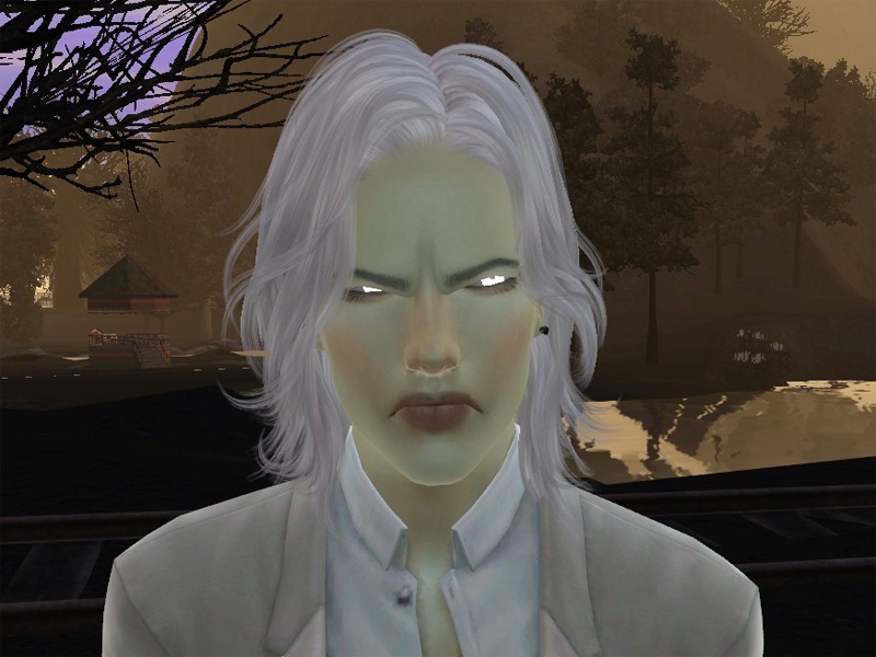 2773185.jpg