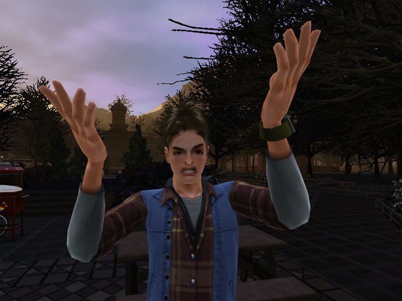 2773187.jpg
