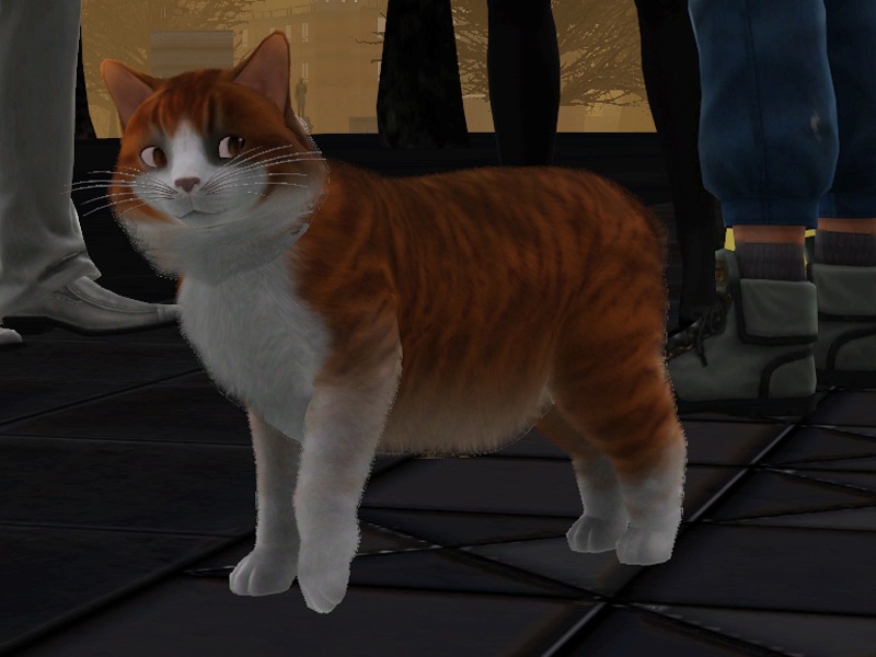 2773210.jpg