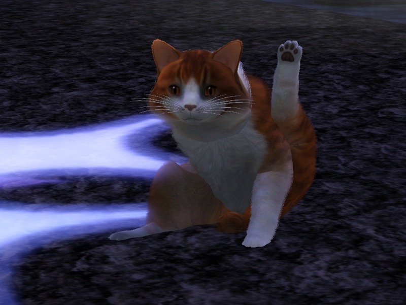 2778378.jpg