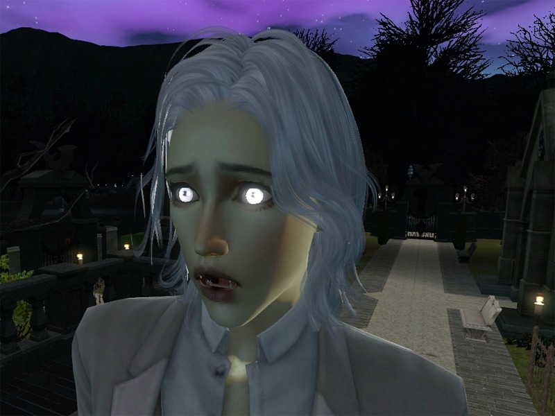 2778381.jpg