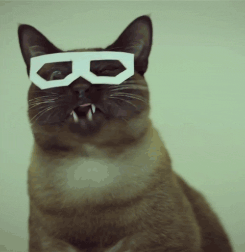 http://4put.ru/pictures/max/908/2789438.gif