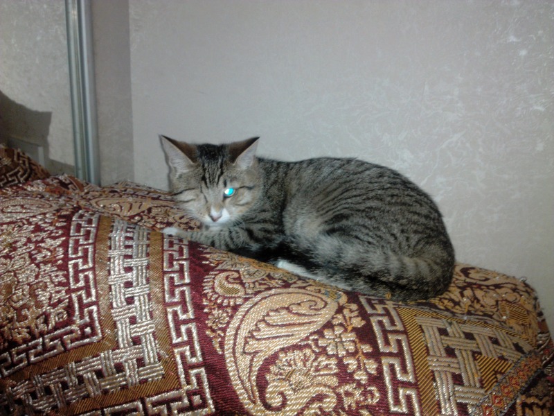 user posted image