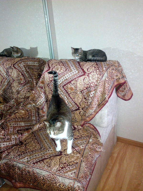 user posted image