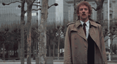 2801226.gif