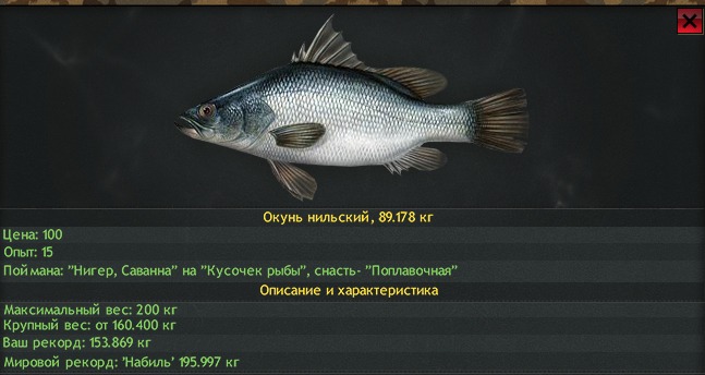 клёв рыбы дмитров московская область на завтра клёв рыбы дмитров московская область на завтра