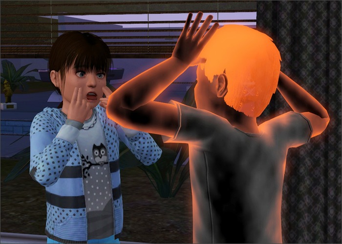 2822035.jpg