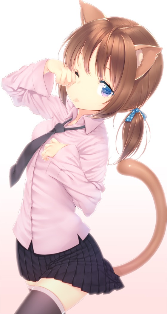 2857189.jpg