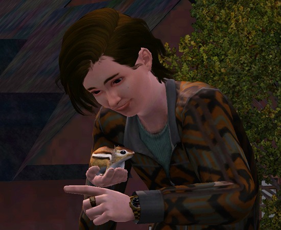 2873229.jpg