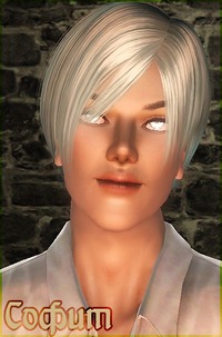 291191.jpg