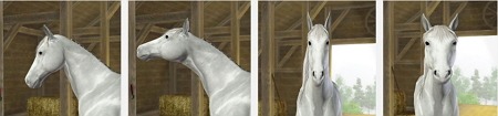 2902353.jpg