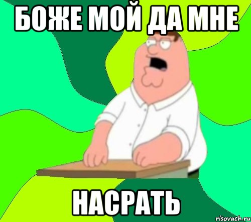 2905064.jpg