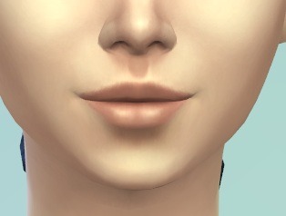 2912755.jpg
