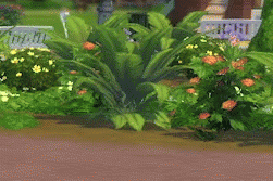 2922730.gif