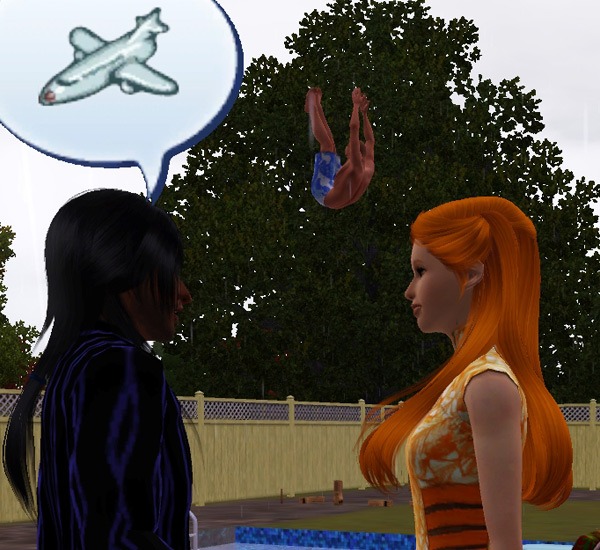 2936404.jpg