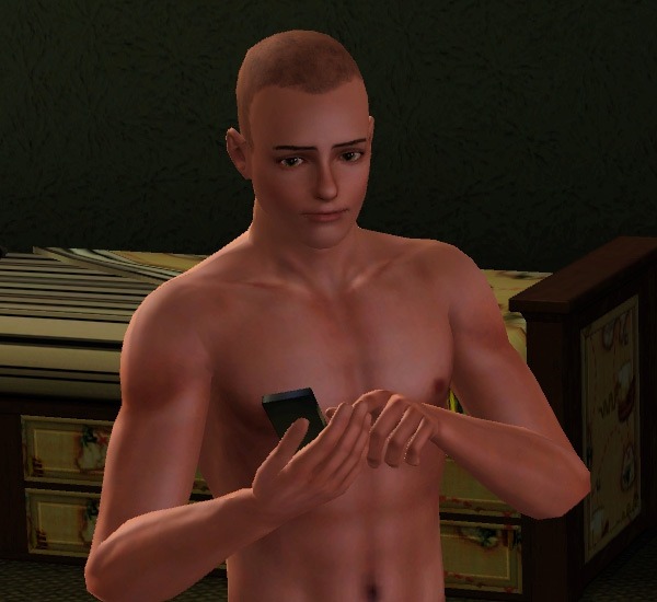 2937036.jpg