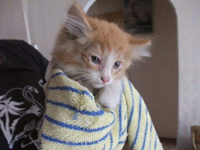 http://4put.ru/pictures/max/957/2941719.jpg