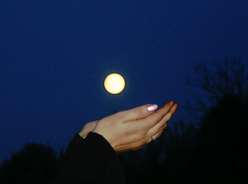 2956130.jpg