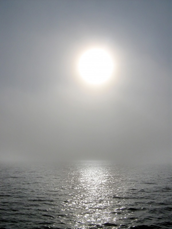 Такое разное небо