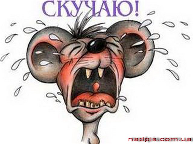 Открытки я скучаю по тебе прикольные картинки Открытки я скучаю по тебе прикольные картинки