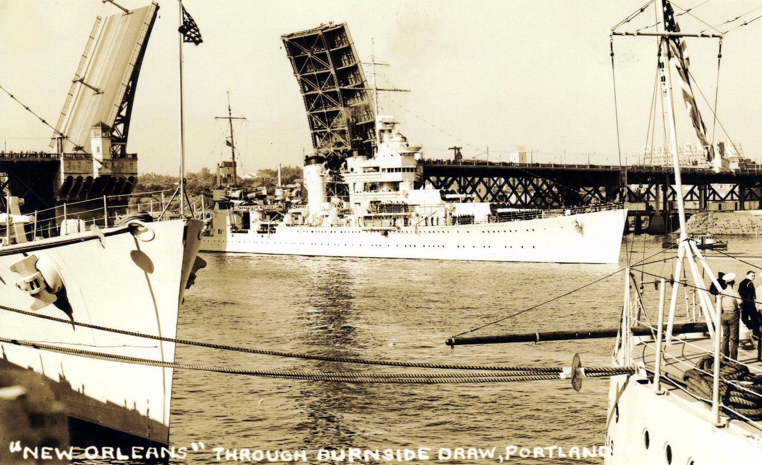 2974476.jpg