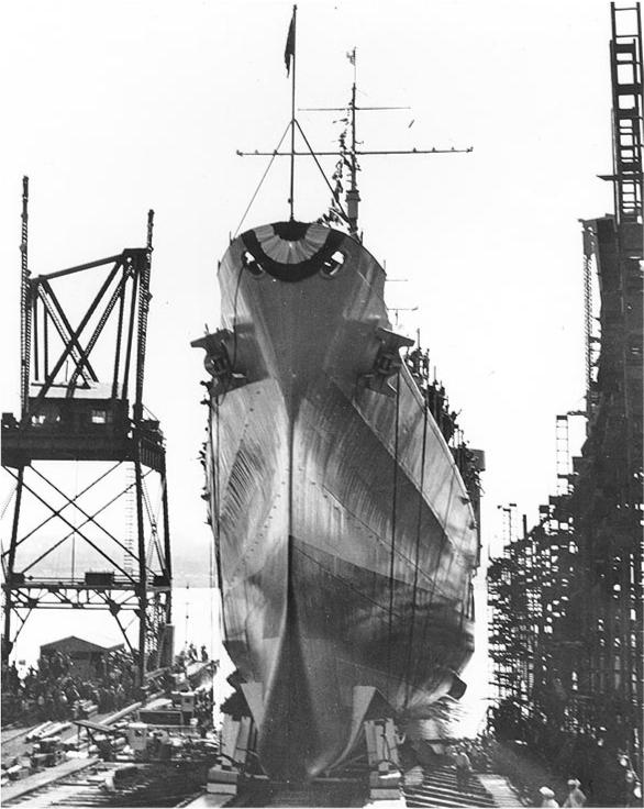 2976416.jpg