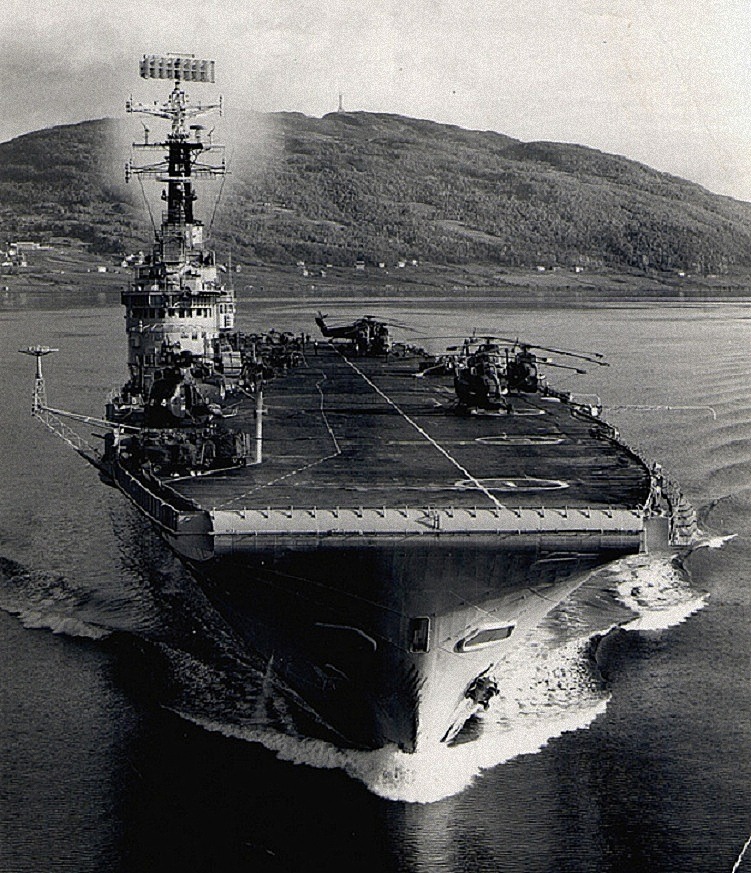 2977522.jpg