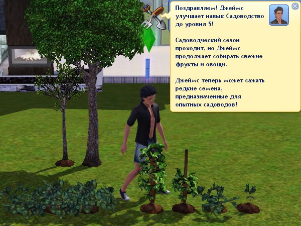 298954.jpg