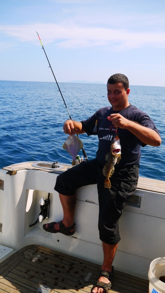 На что ловят камбалу на черном море На что ловят камбалу на черном море