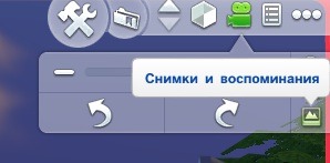 2995444.jpg