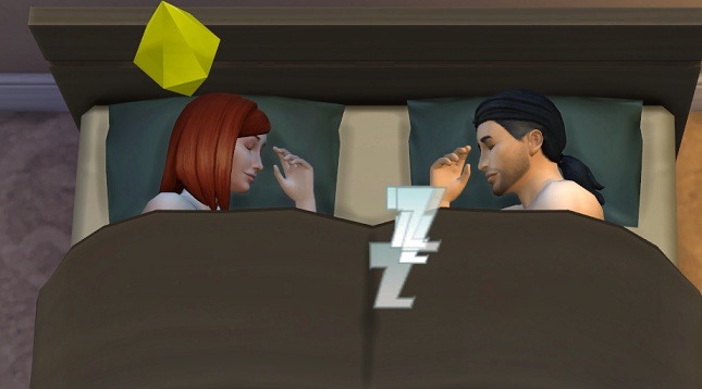 2997207.jpg