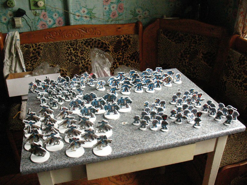 2998154.jpg