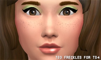3005310.jpg