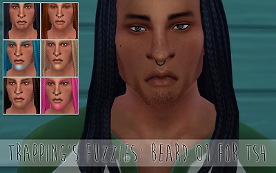 3016404.jpg