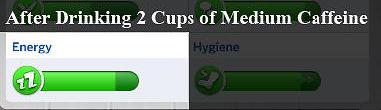 3026466.jpg
