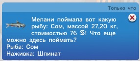 3027520.jpg