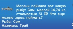 3027535.jpg