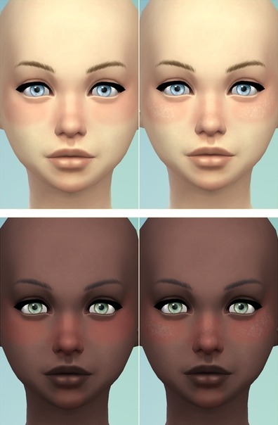 3034480.jpg